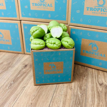 Fresh Chayote Squash Box Squashes & Gourds Tropical Fruit Box